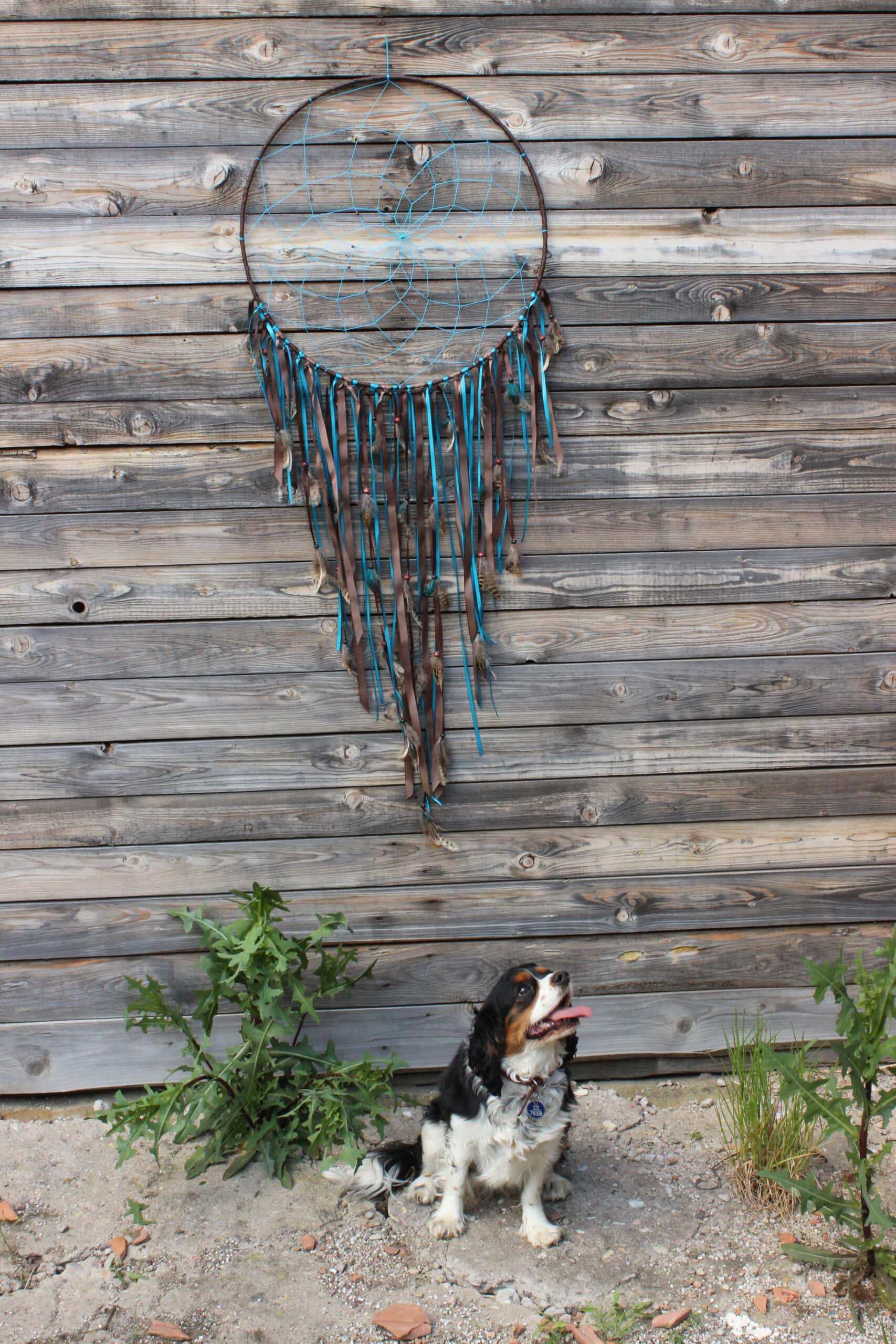 Obrovský tyrkysovo-hnědý lapač snů od JB tvorba zavěšený na dřevěném pozadí se sedícím psem